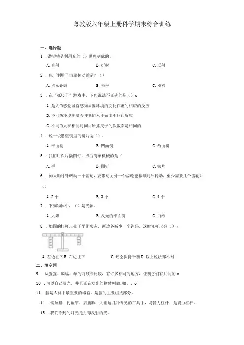 粤教版六年级上册科学期末综合训练(含答案)