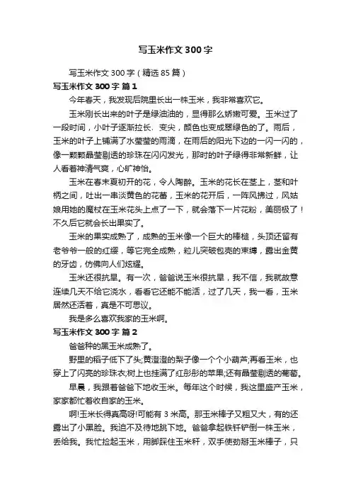 写玉米作文300字（精选85篇）