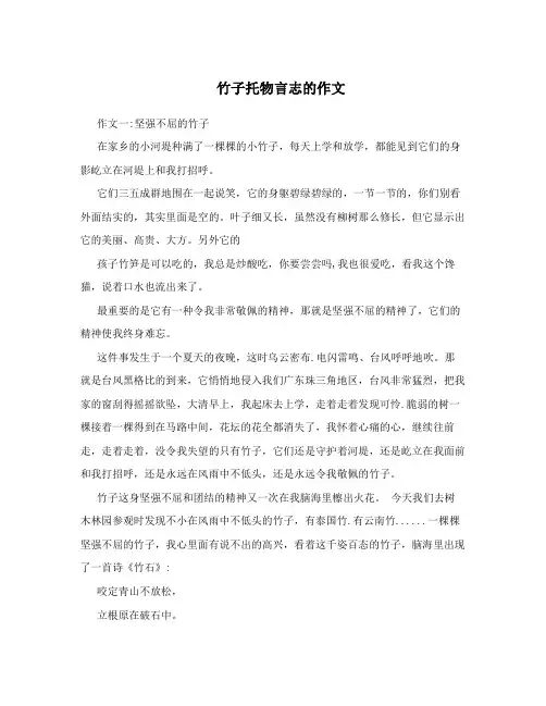 竹子托物言志的作文