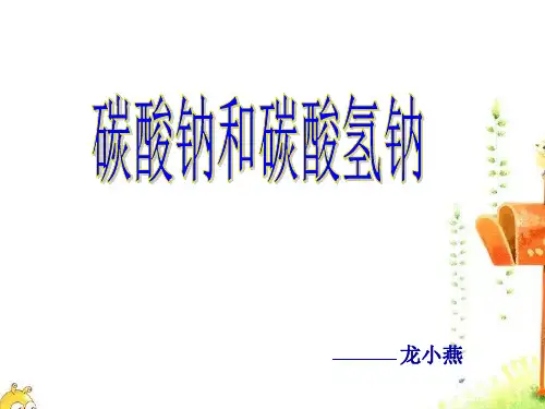 碳酸钠与碳酸氢钠性质的比较