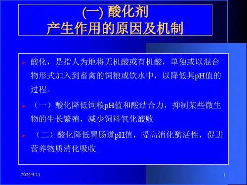 四饲料酸化剂