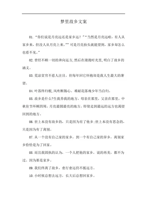 梦里故乡文案