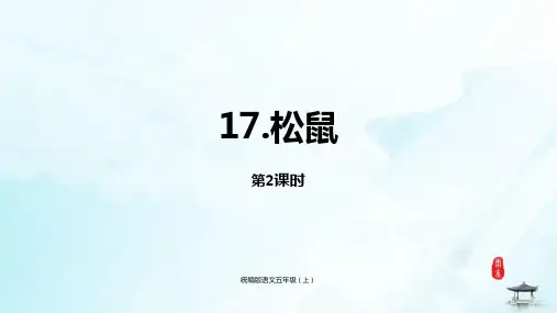 人教部编版《松鼠》上课课件(共22张PPT)