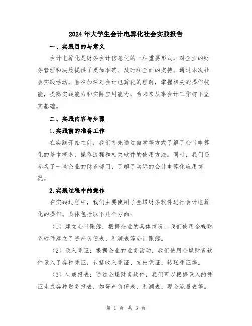 2024年大学生会计电算化社会实践报告