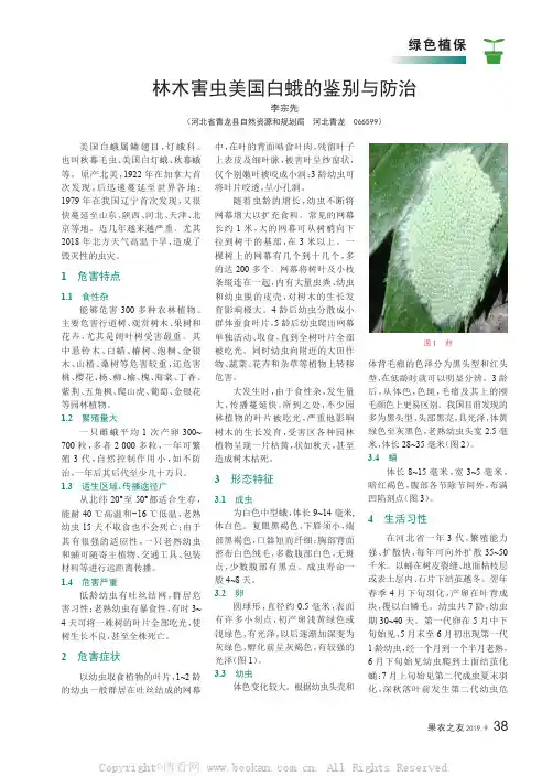 林木害虫美国白蛾的鉴别与防治