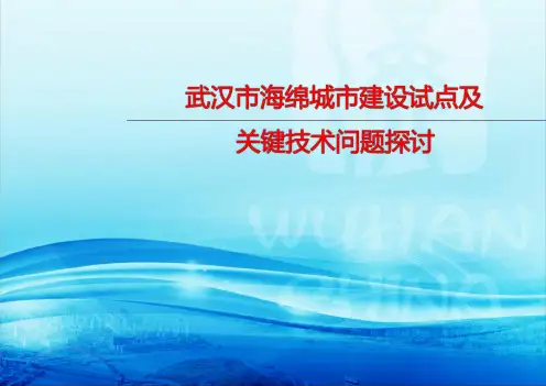 武汉市海绵城市建设试点情况汇报
