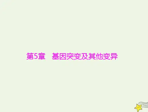 2023版高考生物一轮总复习第5章第1节基因突变和基因重组课件