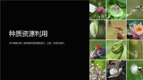 《种质资源利用》课件