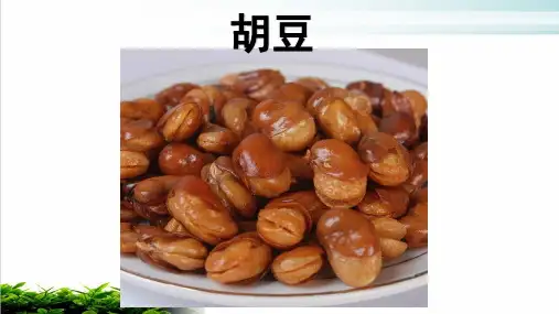 人教部编版沟通中外文明的“丝绸之路精品ppt1