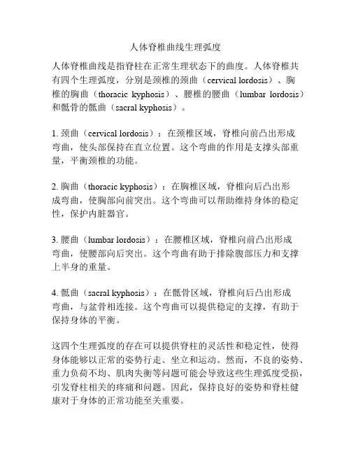 人体脊椎曲线生理弧度