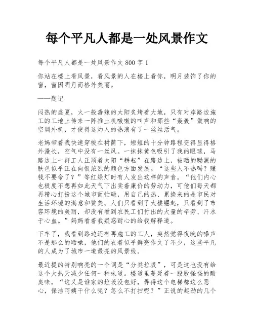 每个平凡人都是一处风景作文