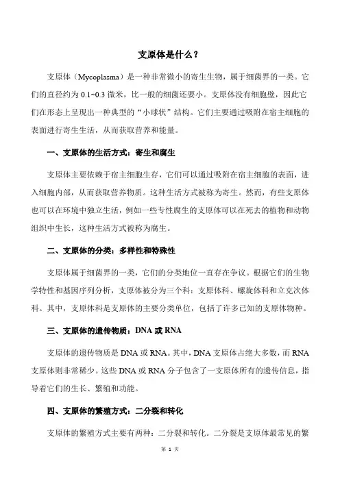 支原体是什么？