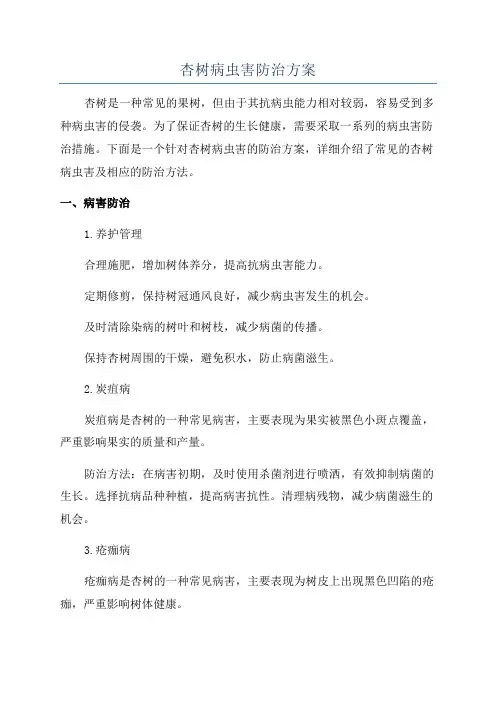 杏树病虫害防治方案