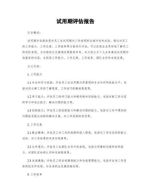 试用期评估报告
