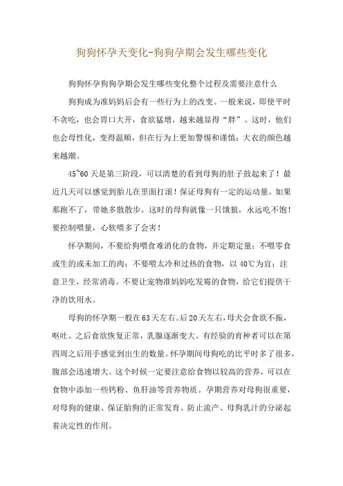 狗狗怀孕天变化-狗狗孕期会发生哪些变化