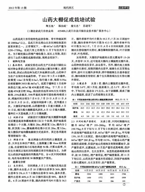 山药大棚促成栽培试验