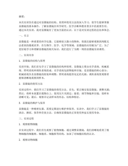 认识显微镜的实训报告总结