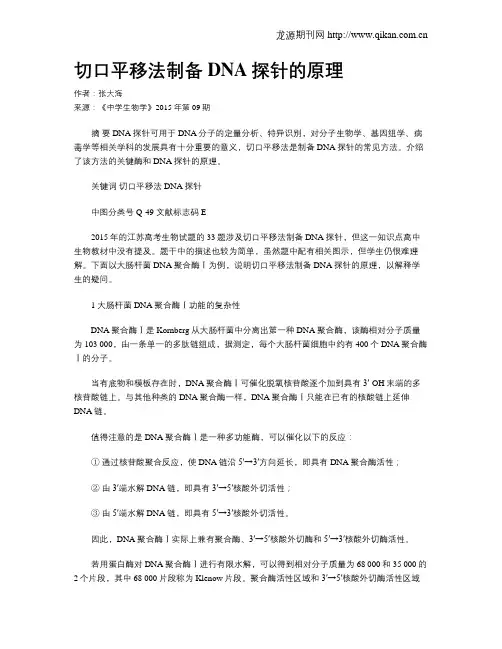 切口平移法制备DNA探针的原理