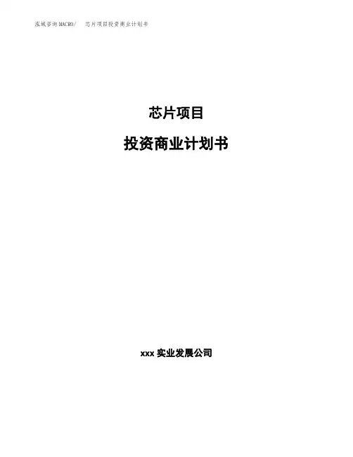 芯片项目投资商业计划书范本(投资融资分析)