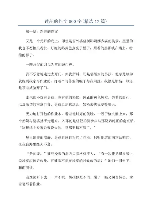 迷茫的作文800字(精选12篇)