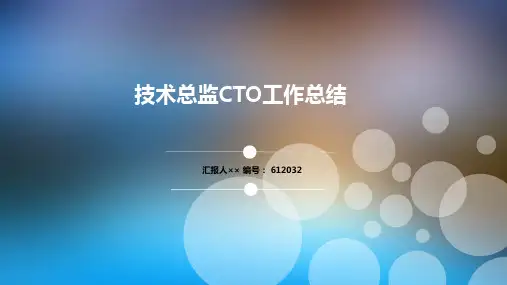 技术总监CTO工作总结述职汇报模板【精选】