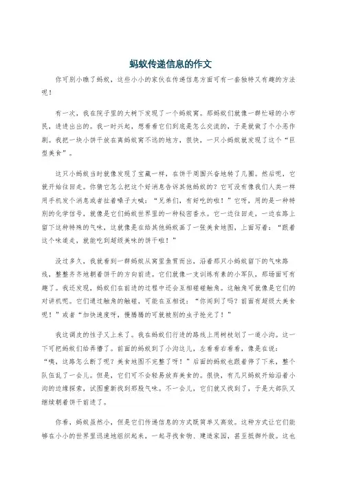 蚂蚁传递信息的作文