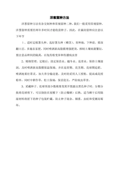 洋葱留种方法