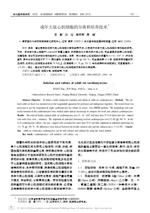成年大鼠心肌细胞的分离和培养技术