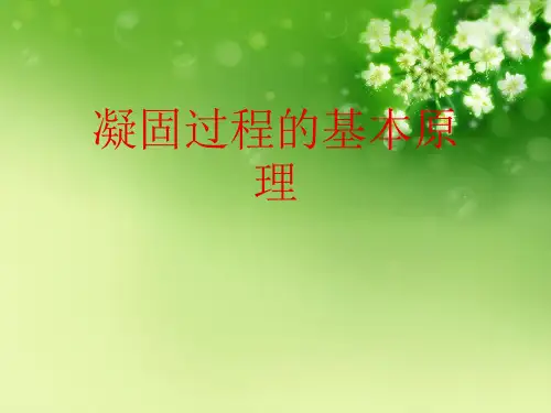 凝固过程的基本原理