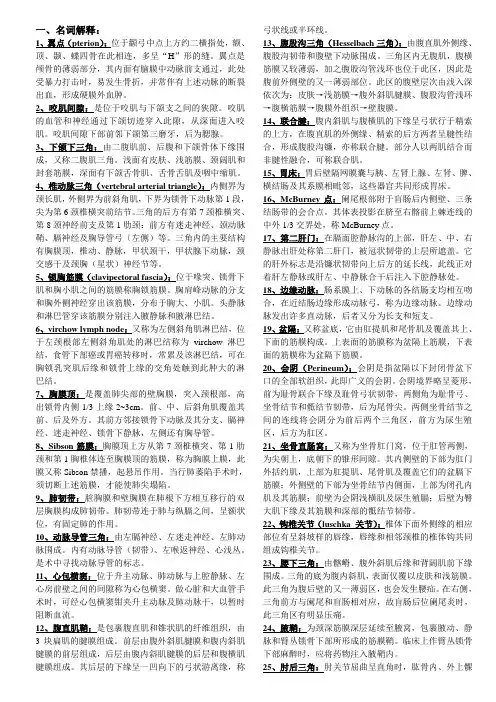 局部解剖学