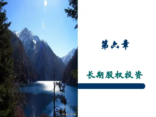 长期股权投资概述(PPT 139页)