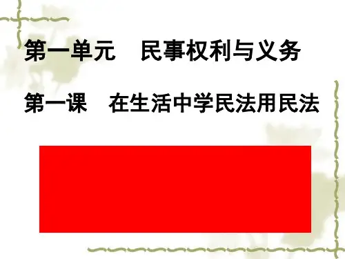 认真对待民事权利与义务教学PPT课件