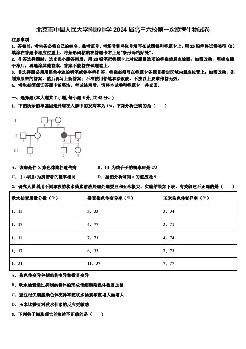 北京市中国人民大学附属中学2024届高三六校第一次联考生物试卷含解析