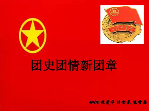 团史团情新团章 ppt课件