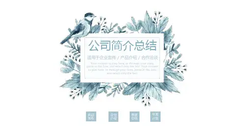 公司简介总结PPT