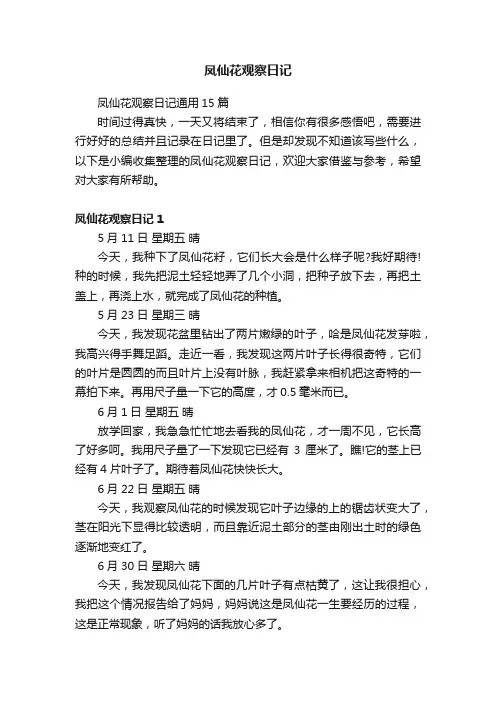 凤仙花观察日记