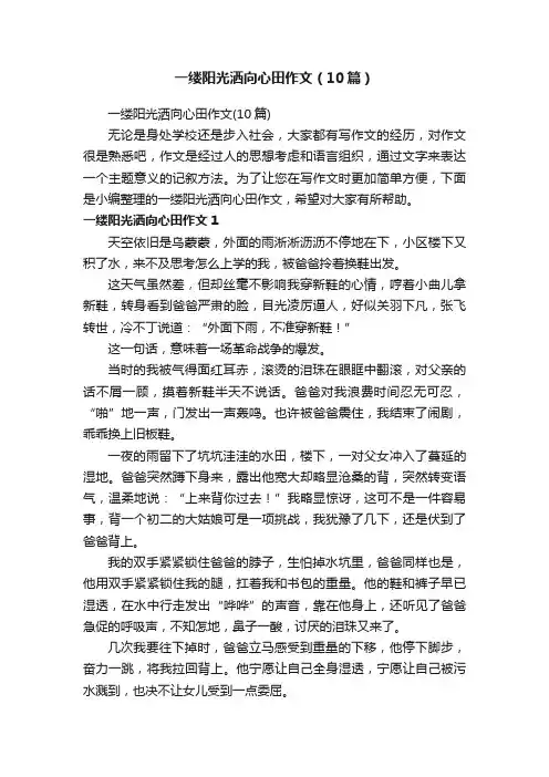 一缕阳光洒向心田作文（10篇）