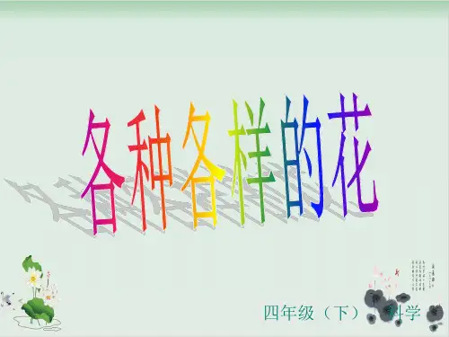 四年级下册科学课件-各种各样的花教科版(共34张PPT)