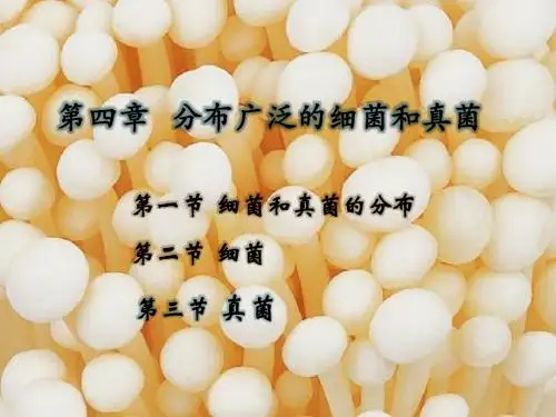 第四章 第三节 真菌
