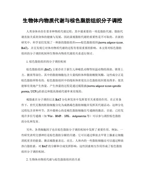 生物体内物质代谢与棕色脂肪组织分子调控