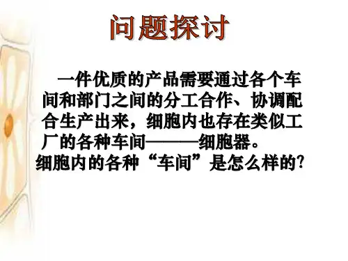 细胞器——系统内的分工合作