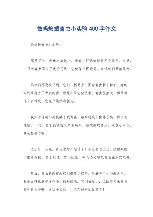 做蚂蚁搬青虫小实验400字作文