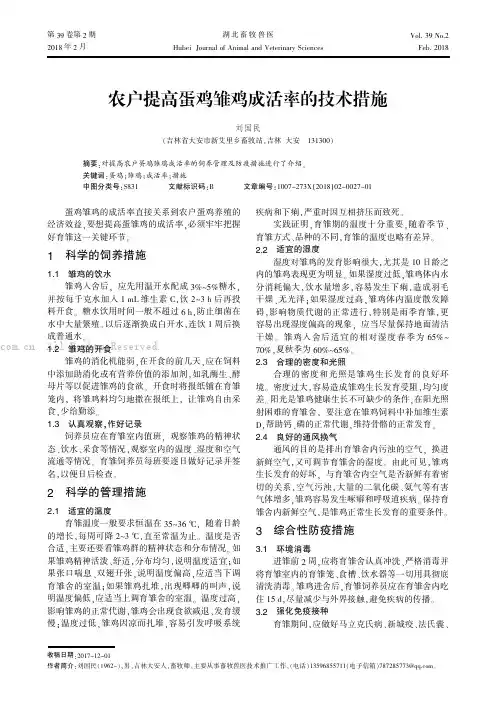 农户提高蛋鸡雏鸡成活率的技术措施