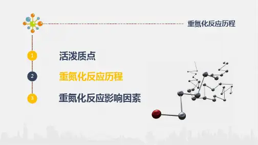 重氮化反应历程