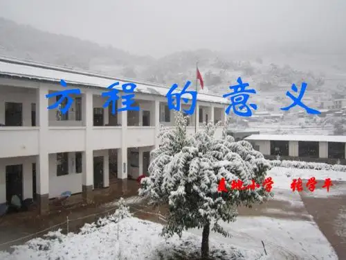 《方程的意义》PPT