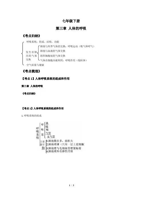 七年级下册生物第三章《人体的呼吸》会考考点