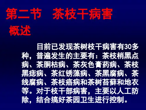 茶树病害