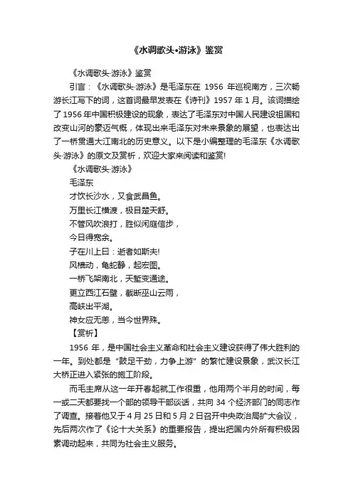 《水调歌头·游泳》鉴赏