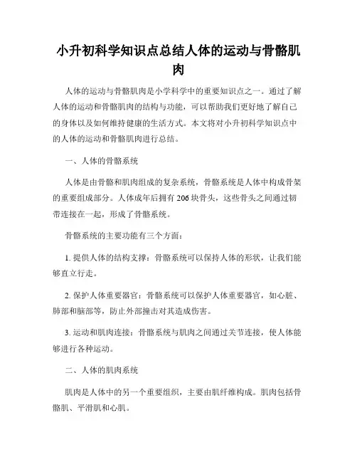 小升初科学知识点总结人体的运动与骨骼肌肉