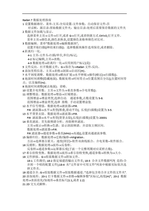 Radan 7数据处理指南